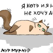 Хочу мур мур. Стихотворение кот мурмур. Я хочу Мур Мур. Стихотворение кот Мур Мур. Котик Мур мяу.