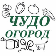 Какое слово огород. Чудо огород надпись. Наш огород надпись. Наш чудо огород надпись. Огород чудес.