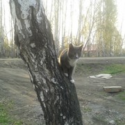 ИРИНА СЛАБКОВА on My World.