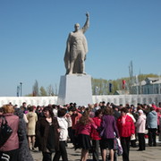 Стелла кормиловка