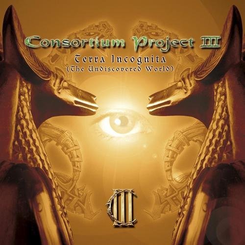 Consortium Project III