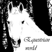 Equestrian world группа в Моем Мире.