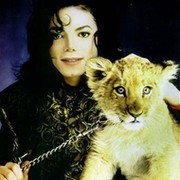 Michael Jackson - наша жизнь!!! группа в Моем Мире.