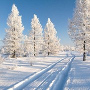 Забайкальцы группа в Моем Мире.