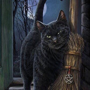 Татьяна Косарева on My World.