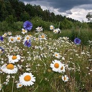 Виталий Федосеев on My World.