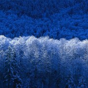 Гульнара Шаймердинова on My World.