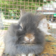 Влад Бондаренко on My World.