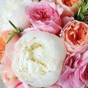 Анна Демирчян on My World.