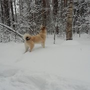 александр аксёнов on My World.