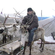 Алексей Бареев on My World.