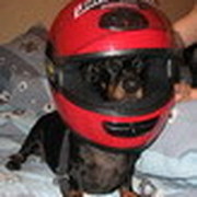 Антон Толоконников on My World.