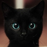 Марина )) on My World.