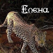 Елена АЛЕНА on My World.