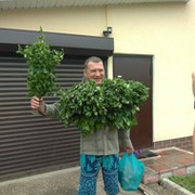Алексей Бугаев on My World.