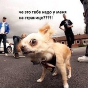 андрей цивилёв on My World.