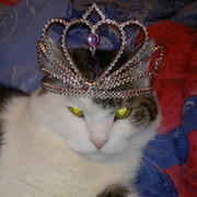 Алексей Кочинов on My World.