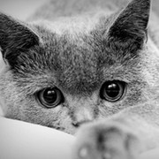 Неизвестно Неизвестно on My World.