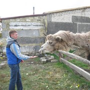 Артём Горшков on My World.
