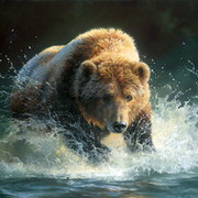 petr kuznicov on My World.