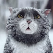 Дмитрий Котов on My World.