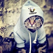 Пётр Косулин on My World.