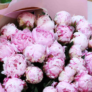 людмила козлова on My World.