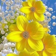 Людмила Матмусаева on My World.