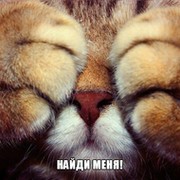 Наталья Старикова on My World.