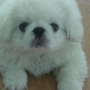 марина ф. on My World.