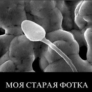 Иван Шестаев on My World.