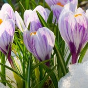 Валентина Орешникова on My World.