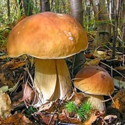 Павел Кузьмин on My World.