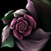Анна Викторовна Семенова on My World.