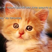 Влада Шадеркина on My World.