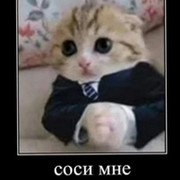 Андрей Бро on My World.