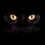))) @@@ on My World.