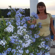 Татьяна Вороненкова on My World.