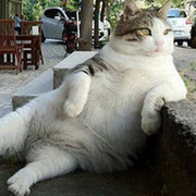Тимур Тимуров on My World.