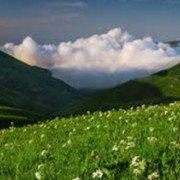 Евгений Головченко on My World.