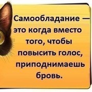 Самообладание это когда вместо того чтобы повысить голос поднимаешь бровь картинки